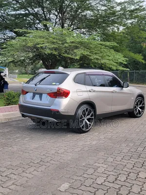 BMW X1 2011 Gold
