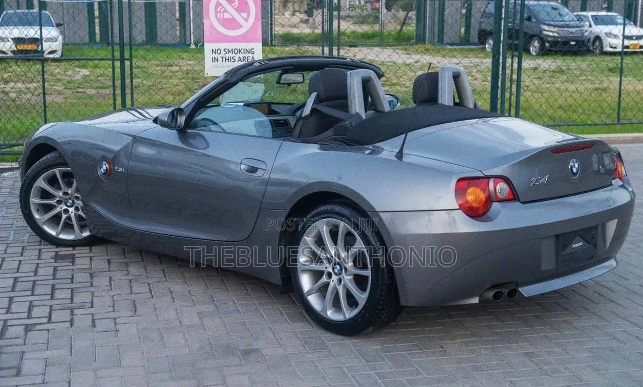BMW Z4 2008 Gray