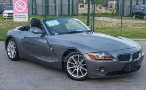 BMW Z4 2008 Gray