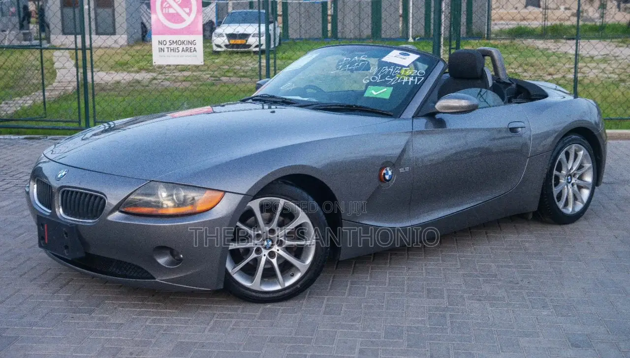 BMW Z4 2008 Gray