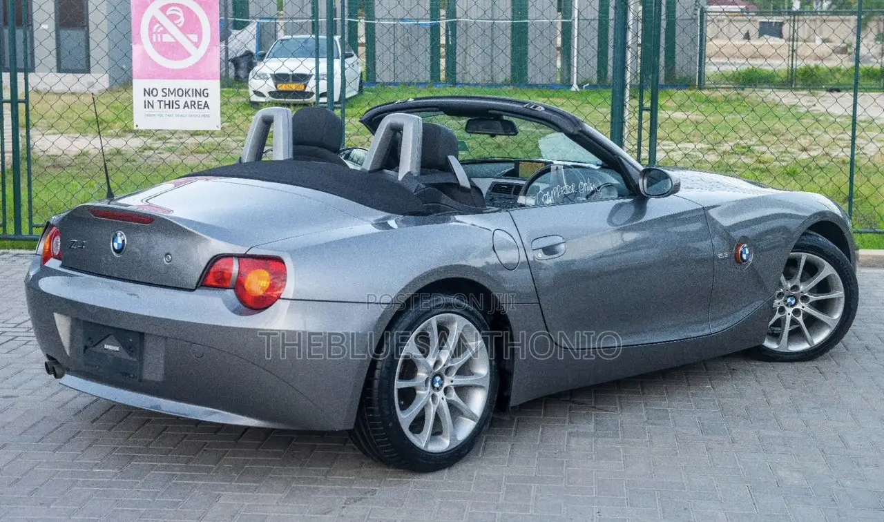 BMW Z4 2008 Gray