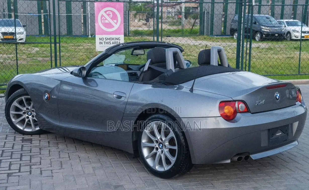 BMW Z4 2.0i Exclusive Roadster 2007 Gray