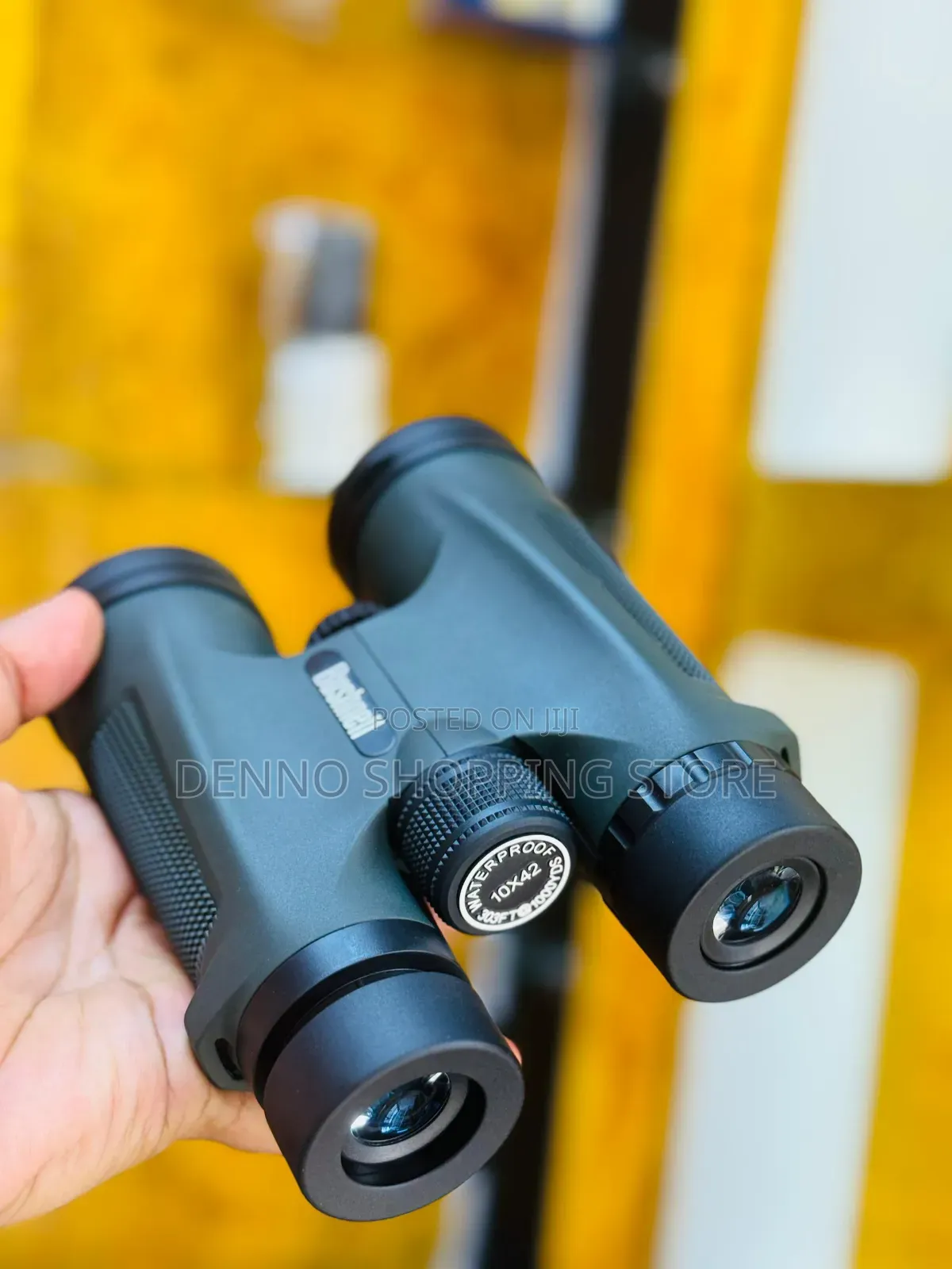 Bushnell 10x42 Original