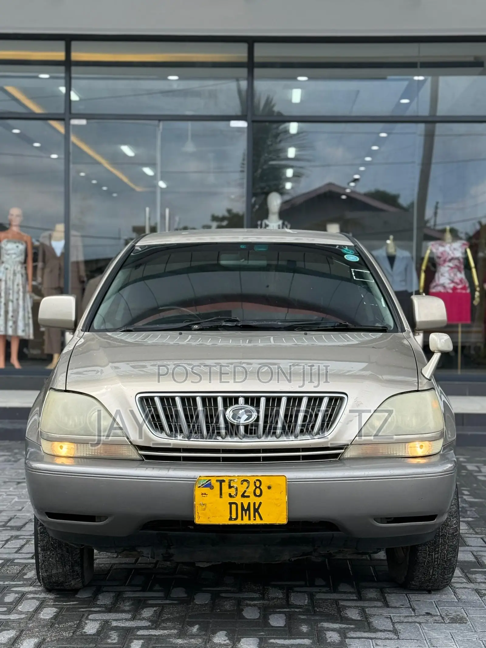 Toyota Harrier 2003 Beige