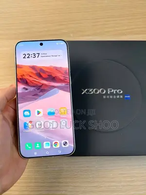 New Vivo X300 Pro 512 GB