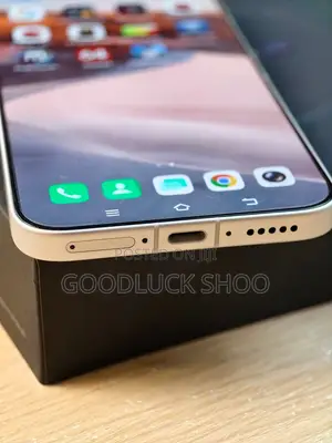 New Vivo X300 Pro 512 GB