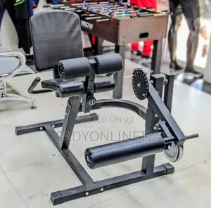 Leg Extension