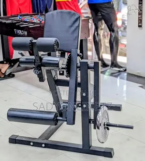Leg Extension
