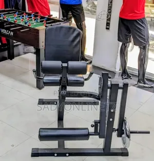 Leg Extension