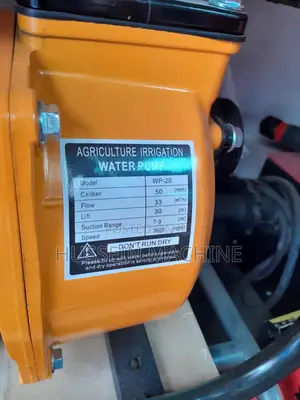 Water Pump Luxury 2''