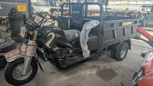 New Tricycle 2025 Green