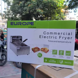 Europe Commercial Electric Fryer 6litres