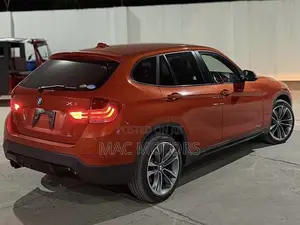 BMW X1 sDrive28i 4dr SUV (2.0L 4cyl Turbo 8A) 2014 Orange