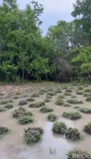 250 Acres Shamba Linauzwa Kisarawe