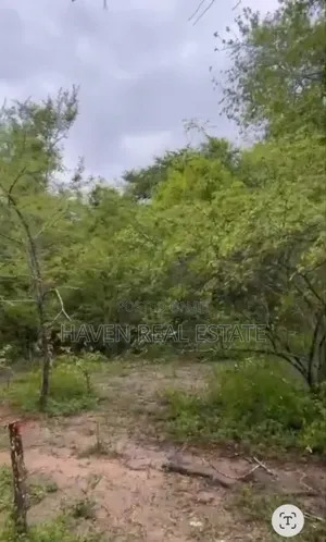 250 Acres Shamba Linauzwa Kisarawe
