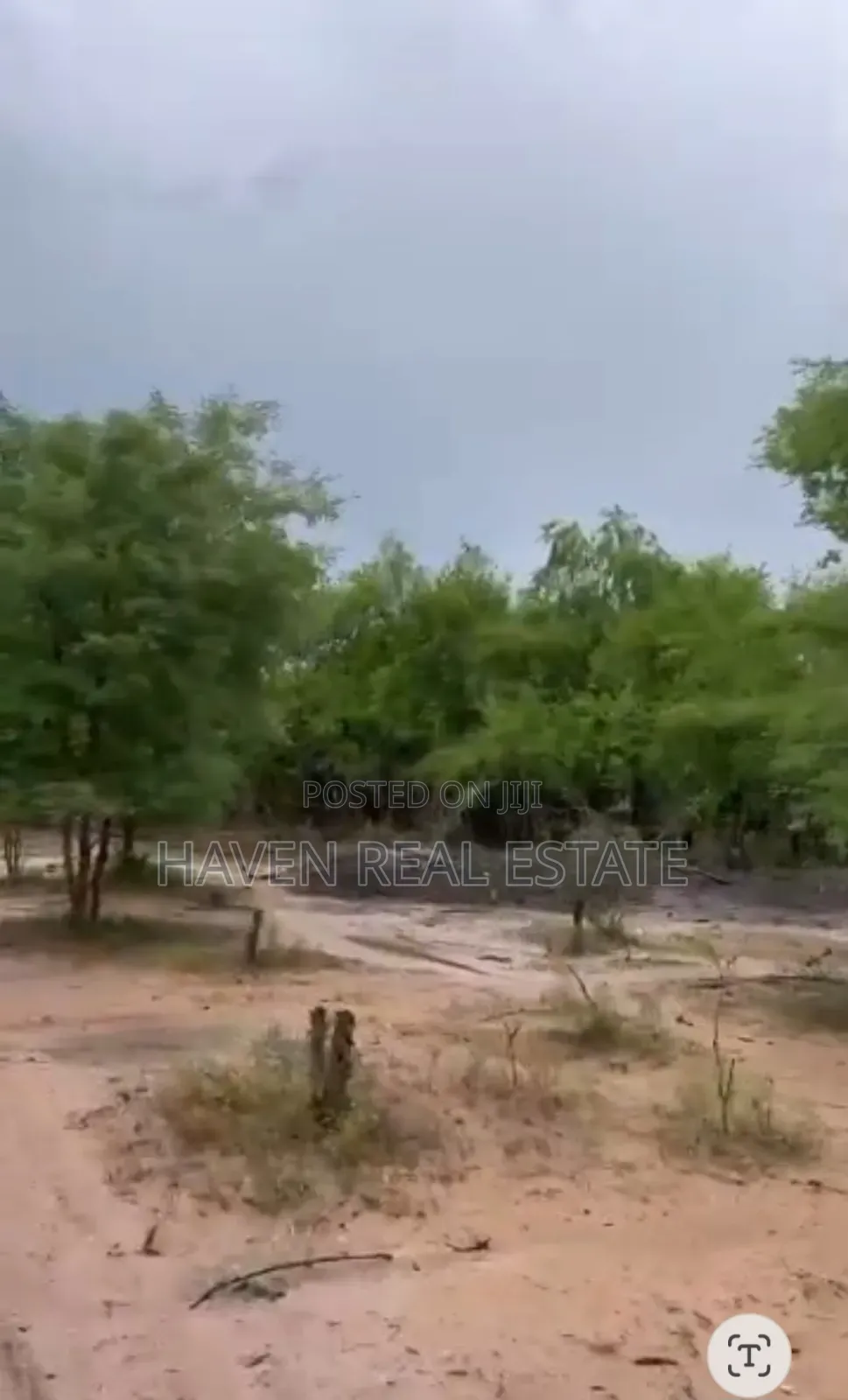250 Acres Shamba Linauzwa Kisarawe