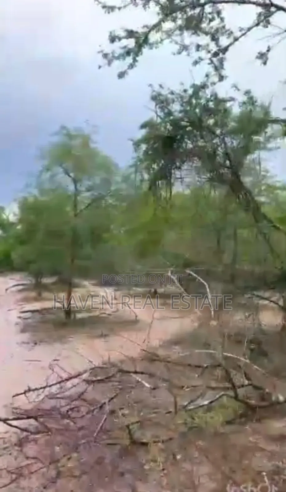 250 Acres Shamba Linauzwa Kisarawe