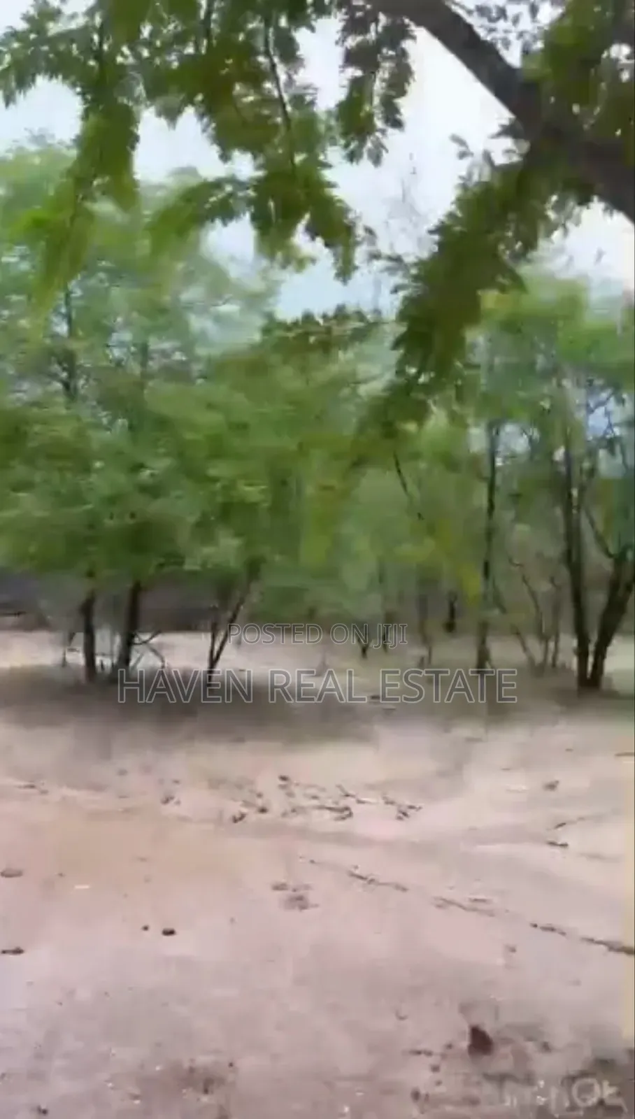 250 Acres Shamba Linauzwa Kisarawe