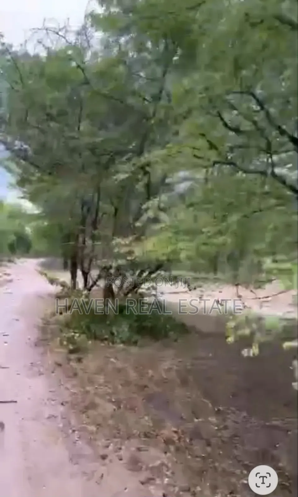 250 Acres Shamba Linauzwa Kisarawe