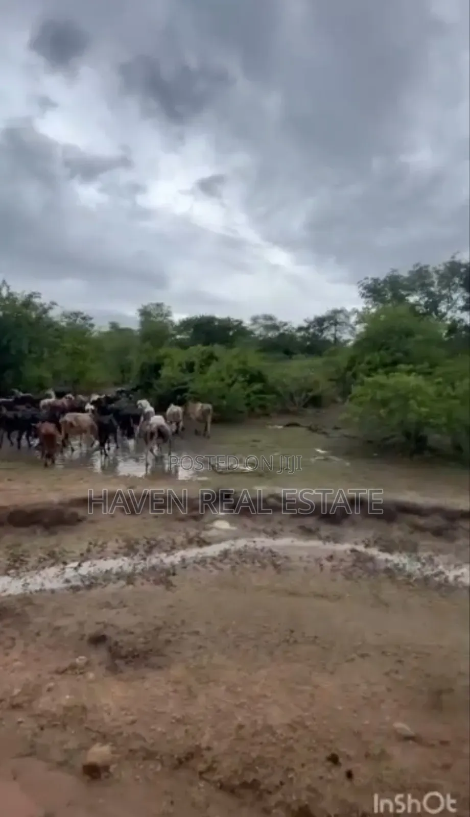250 Acres Shamba Linauzwa Kisarawe