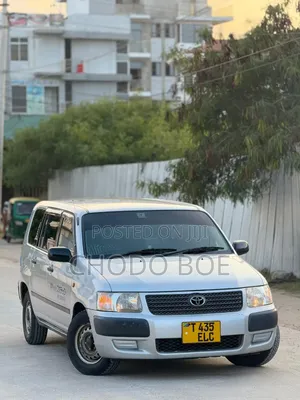 Toyota Probox 2008 Silver