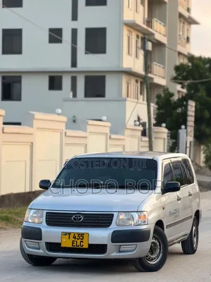 Toyota Probox 2008 Silver