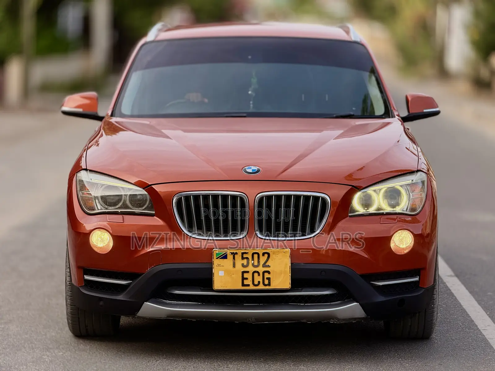 BMW X1 2013 Orange
