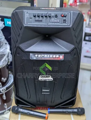 Portable Temeisheng Rechargerable Karaoke Speaker With Mic 15inch
2mic