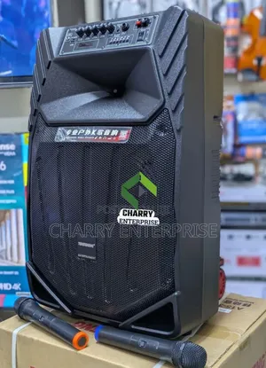Portable Temeisheng Rechargerable Karaoke Speaker With Mic 15inch
2mic