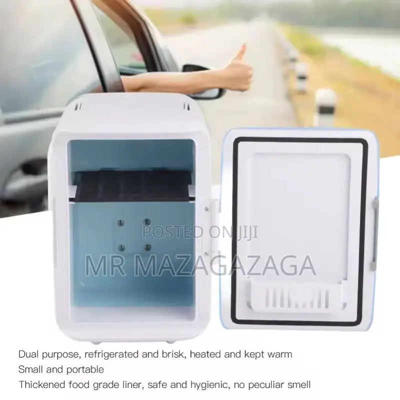 4l Home Car Dual-Use Refrigerator