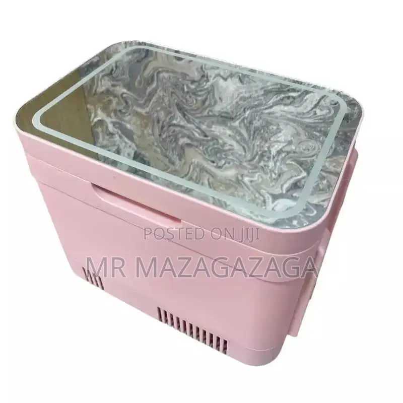 4l Home Car Dual-Use Refrigerator