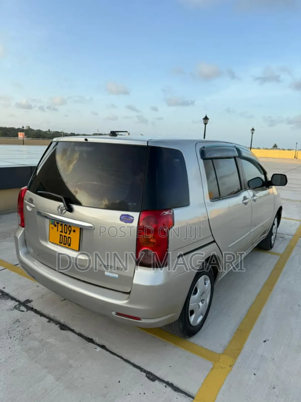 Toyota Raum 2006 Silver