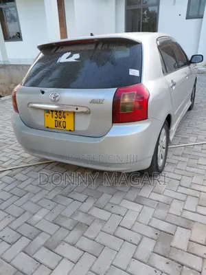 Toyota Allex 2003 Silver
