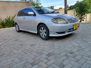 Toyota Allex 2003 Silver