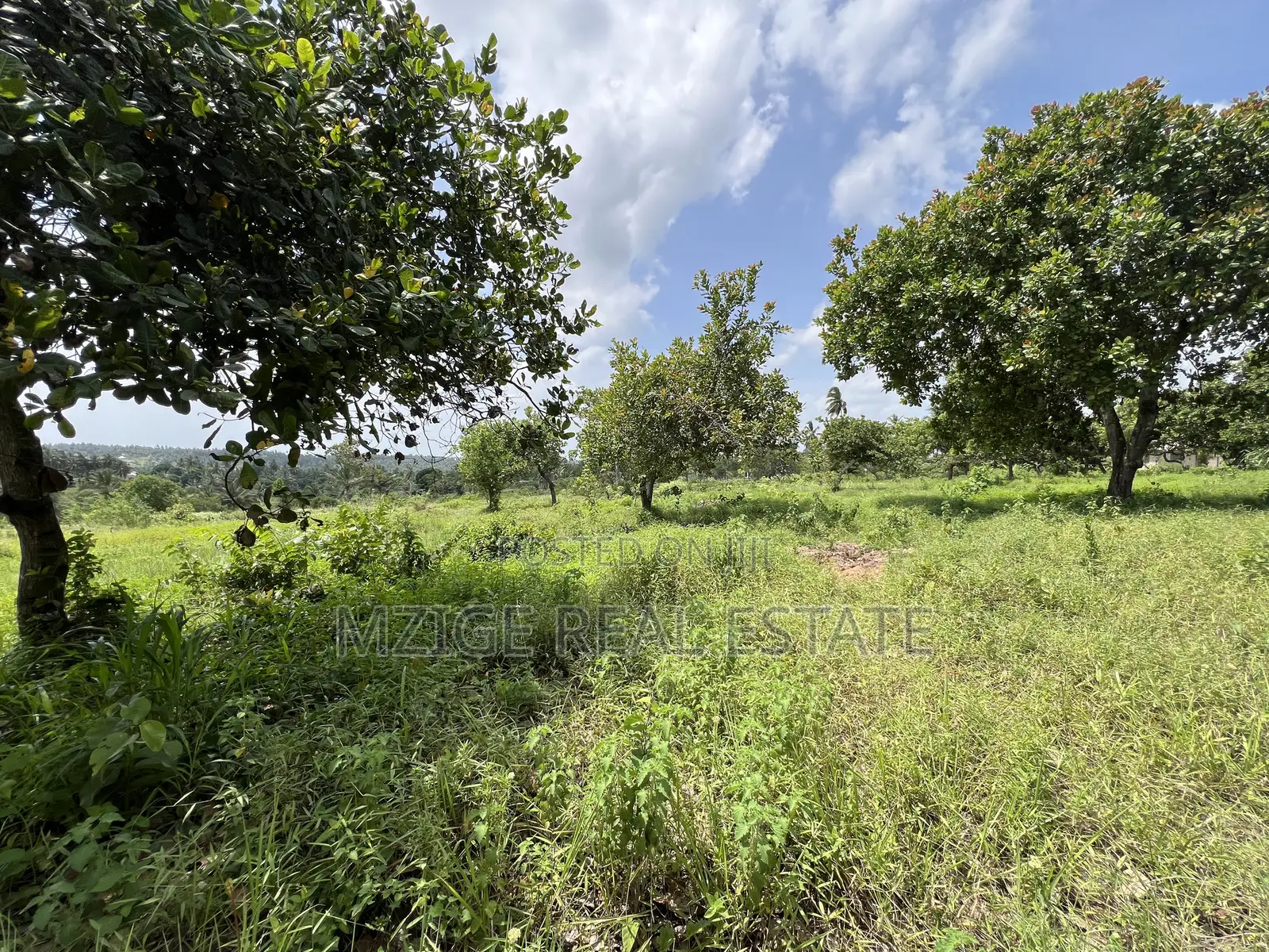 10 Acres Industrial Plot for Sale – Dundani, Mkuranga