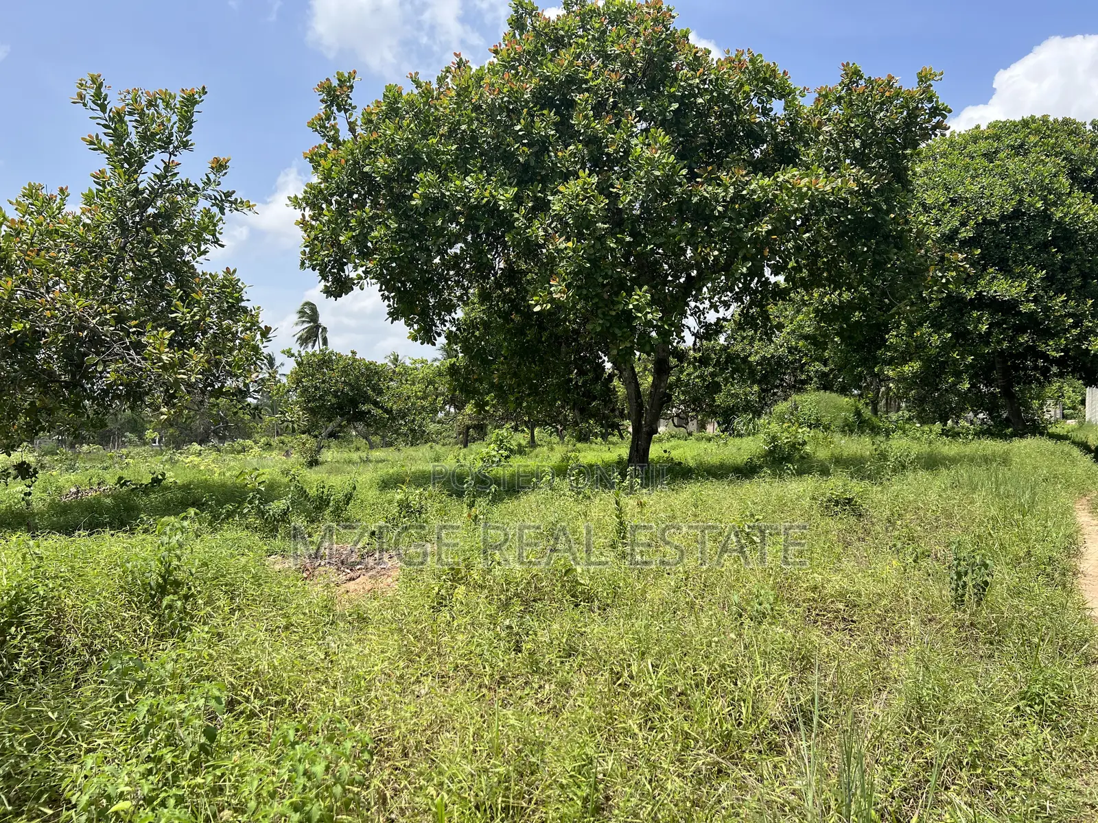 10 Acres Industrial Plot for Sale – Dundani, Mkuranga