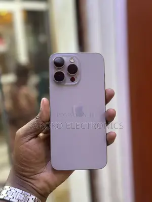 Apple iPhone 15 Pro Max 256 GB Gray
