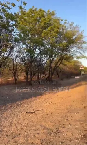 Plot Ya Ekari 10 Inayogusa Lami Inauzwa Mikumi Mjini, Morogoro