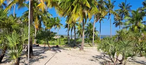 2bdrm House in Tanga City for sale