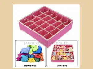 Socks 8 Undergarment Organiser