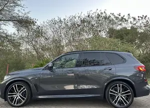 BMW X5 2023 Gray