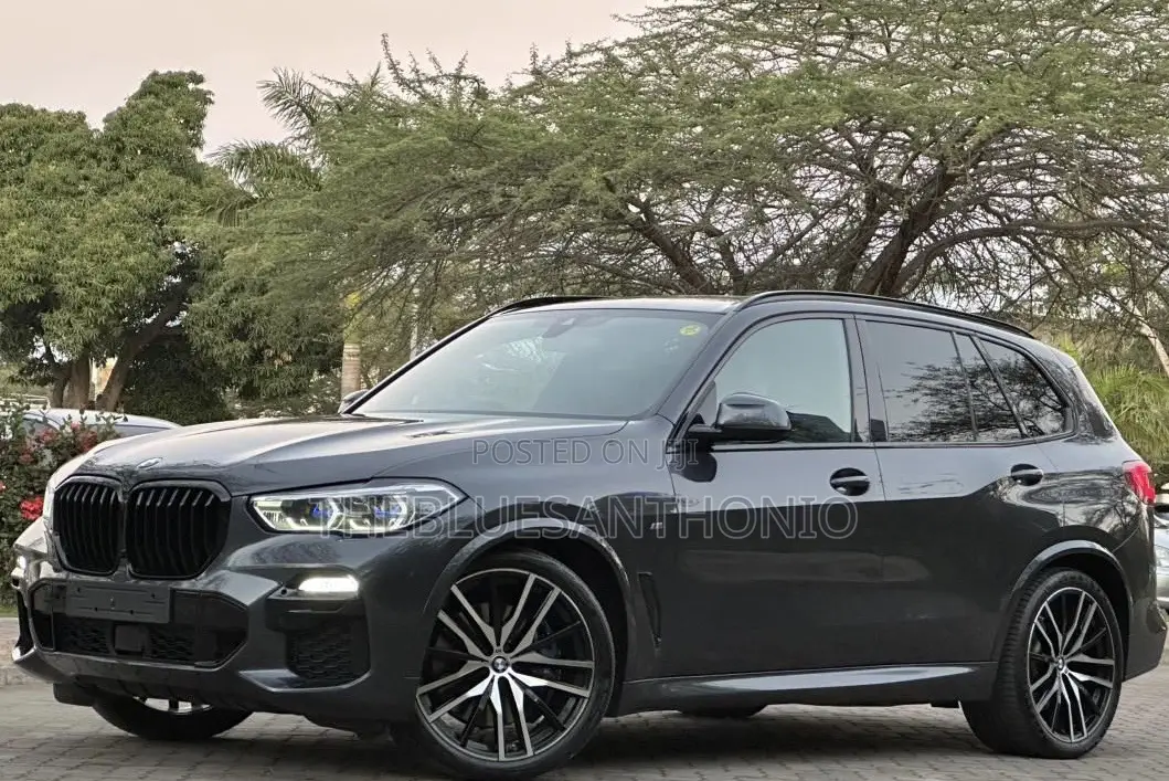 BMW X5 2023 Gray