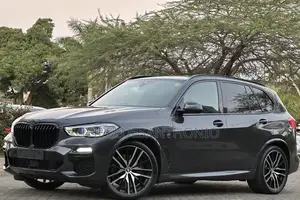 BMW X5 2023 Gray