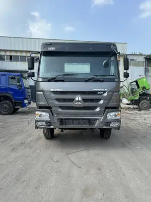 Ready for Order Grey Howo 6x4 Horse