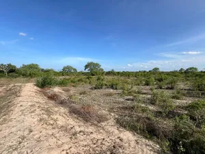 Ekari 7 Zinauzwa Bagamoyo Kidomole