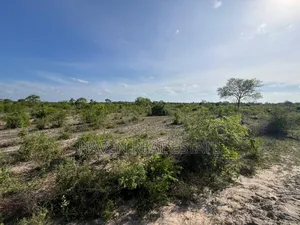 Ekari 7 Zinauzwa Bagamoyo Kidomole