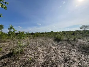 Ekari 7 Zinauzwa Bagamoyo Kidomole