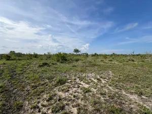 Industrial Plot Ekari 8.3 Imegusa Lami Bagamoyo
