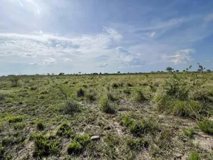 Industrial Plot Ekari 8.3 Imegusa Lami Bagamoyo