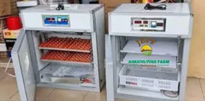 Incubator Mayai 120 Des 2025